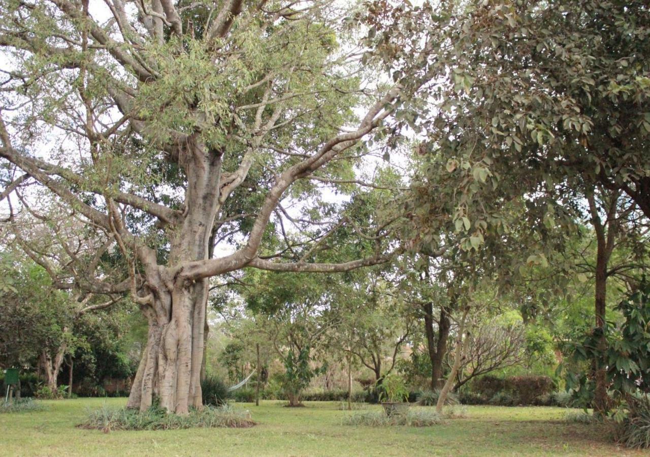 Barefoot Lodge And Safaris - Malawi Lilongwe Exterior foto